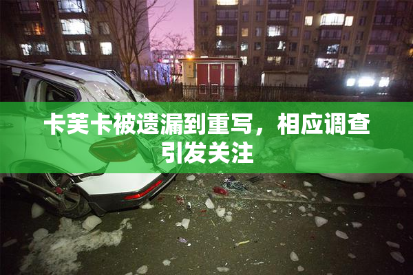 卡芙卡被遗漏到重写，相应调查引发关注