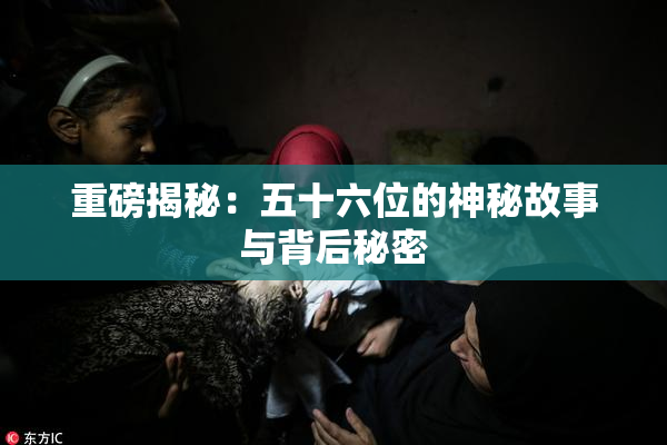 重磅揭秘：五十六位的神秘故事与背后秘密