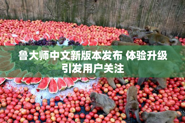 鲁大师中文新版本发布 体验升级引发用户关注