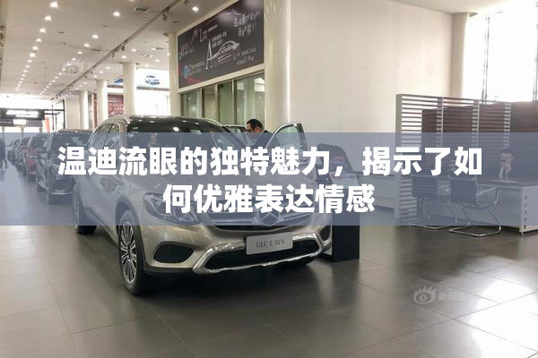 温迪流眼的独特魅力，揭示了如何优雅表达情感
