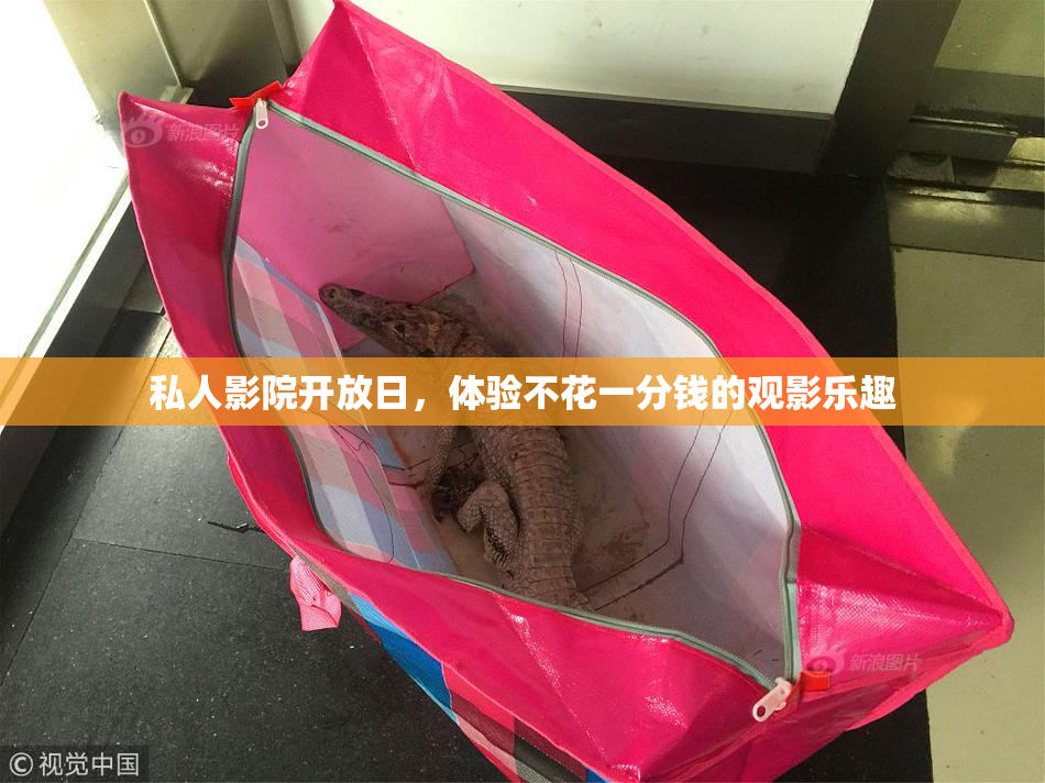 私人影院开放日，体验不花一分钱的观影乐趣