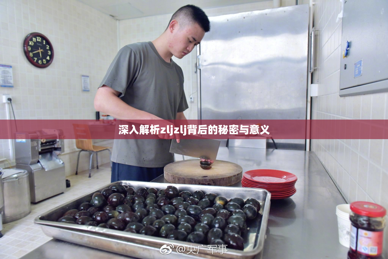 深入解析zljzlj背后的秘密与意义