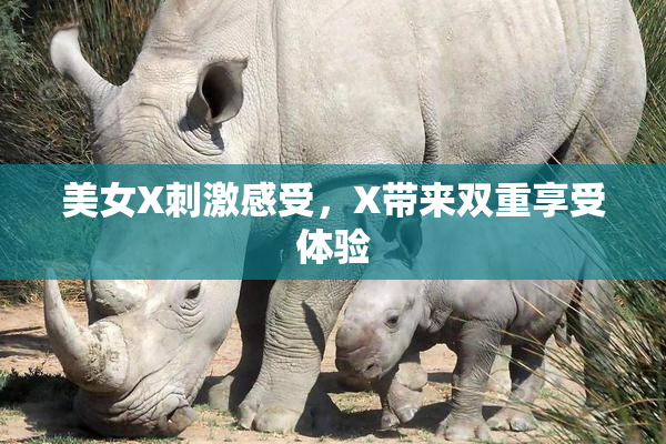 美女X刺激感受，X带来双重享受体验