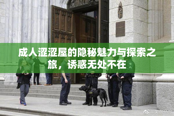 成人涩涩屋的隐秘魅力与探索之旅，诱惑无处不在