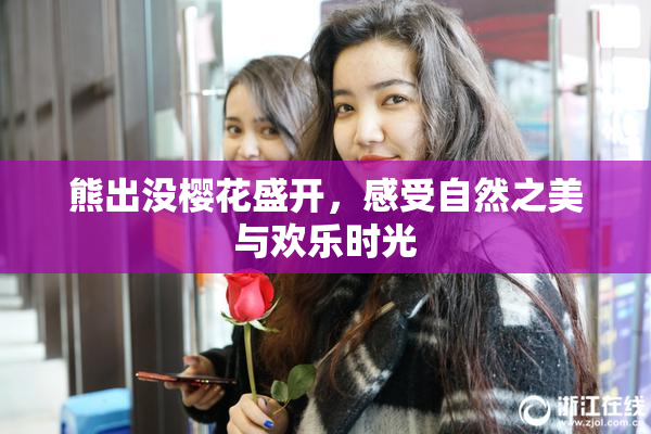 熊出没樱花盛开，感受自然之美与欢乐时光