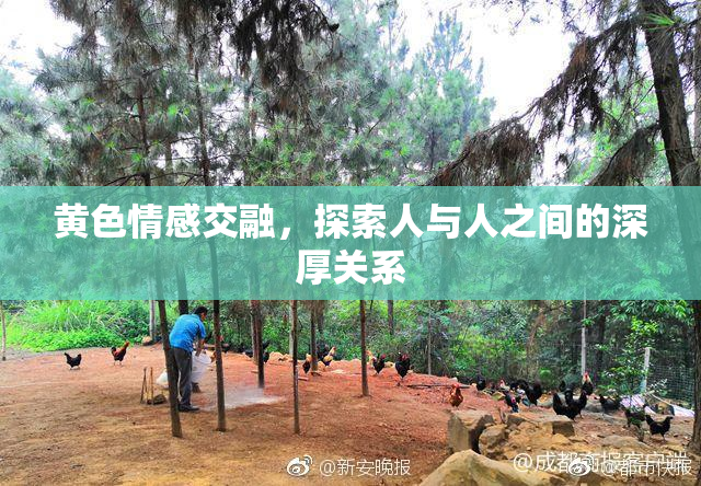 黄色情感交融，探索人与人之间的深厚关系