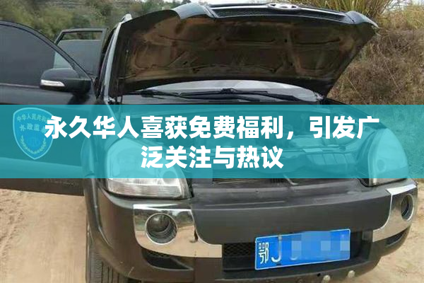 永久华人喜获免费福利，引发广泛关注与热议