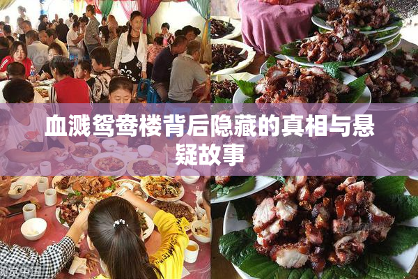 血溅鸳鸯楼背后隐藏的真相与悬疑故事