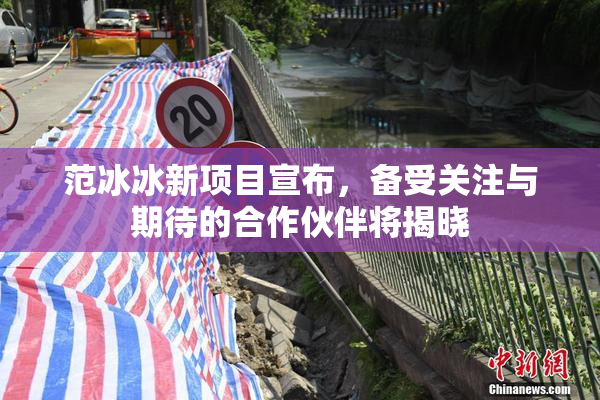 范冰冰新项目宣布，备受关注与期待的合作伙伴将揭晓