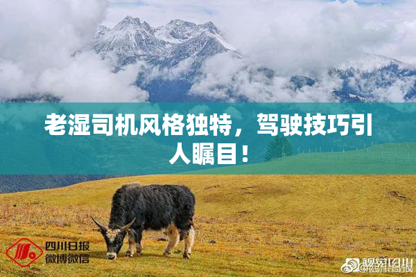 老湿司机风格独特，驾驶技巧引人瞩目！