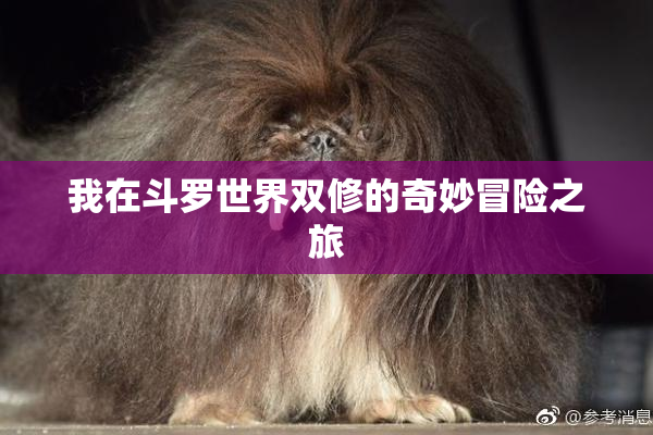 我在斗罗世界双修的奇妙冒险之旅