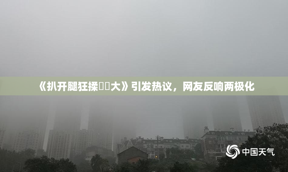 《扒开腿狂揉❌‌大》引发热议，网友反响两极化