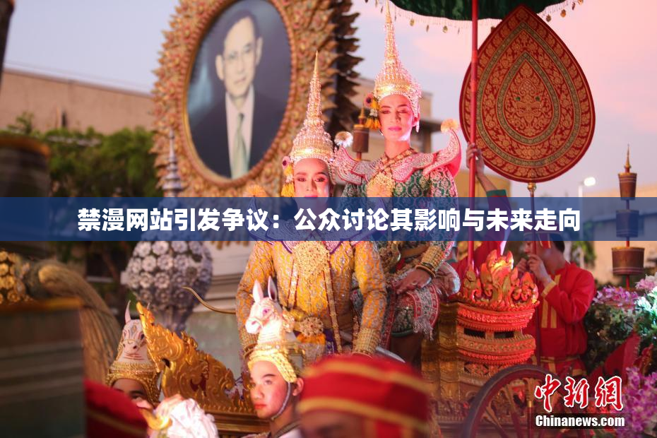 禁漫网站引发争议：公众讨论其影响与未来走向