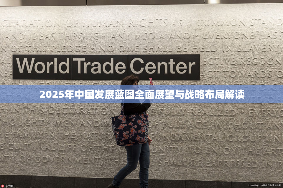 2025年中国发展蓝图全面展望与战略布局解读
