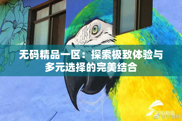 无码精品一区：探索极致体验与多元选择的完美结合