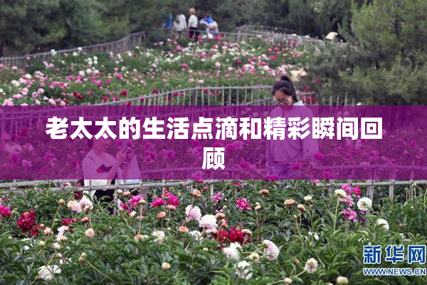 老太太的生活点滴和精彩瞬间回顾