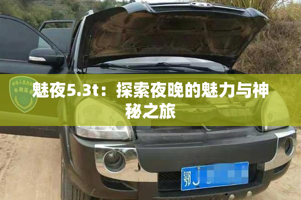 魅夜5.3t：探索夜晚的魅力与神秘之旅