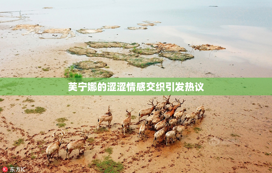 芙宁娜的涩涩情感交织引发热议