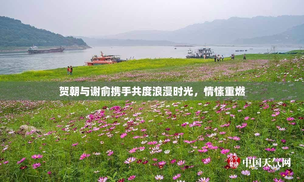 贺朝与谢俞携手共度浪漫时光，情愫重燃