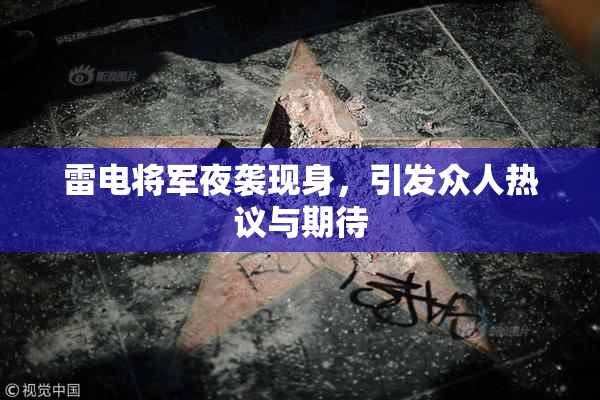 雷电将军夜袭现身，引发众人热议与期待