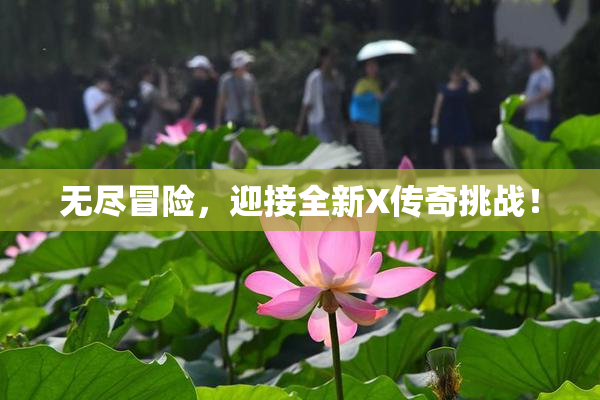 无尽冒险，迎接全新X传奇挑战！