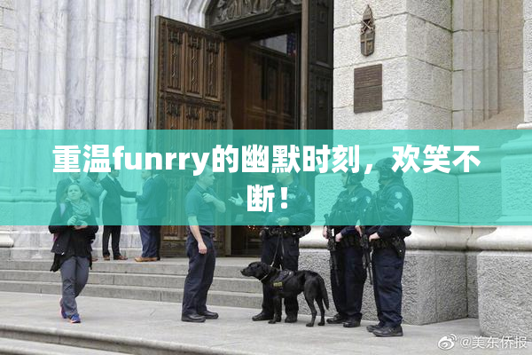 重温funrry的幽默时刻，欢笑不断！
