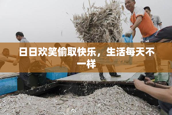 日日欢笑偷取快乐，生活每天不一样