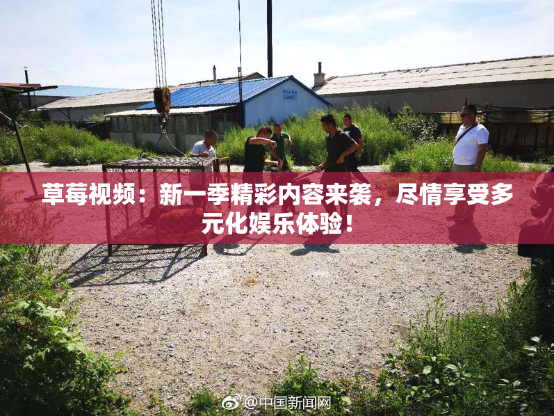 草莓视频：新一季精彩内容来袭，尽情享受多元化娱乐体验！