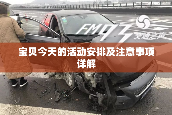 宝贝今天的活动安排及注意事项详解
