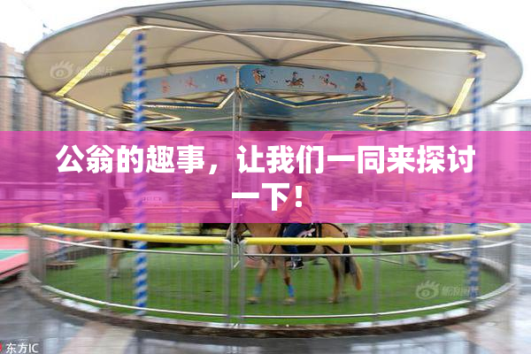 公翁的趣事，让我们一同来探讨一下！