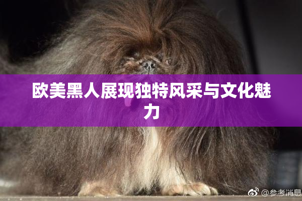 欧美黑人展现独特风采与文化魅力