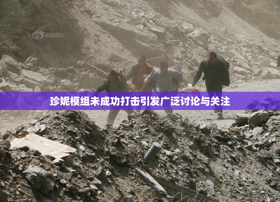 珍妮模组未成功打击引发广泛讨论与关注