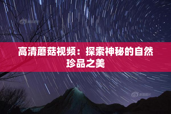 高清蘑菇视频：探索神秘的自然珍品之美