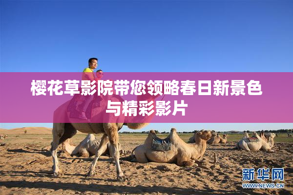 樱花草影院带您领略春日新景色与精彩影片