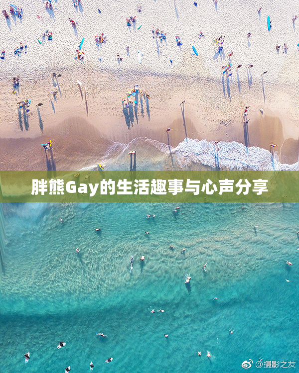 胖熊Gay的生活趣事与心声分享