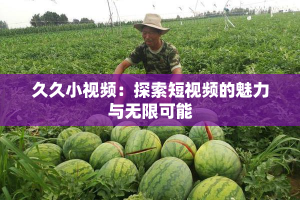 久久小视频：探索短视频的魅力与无限可能