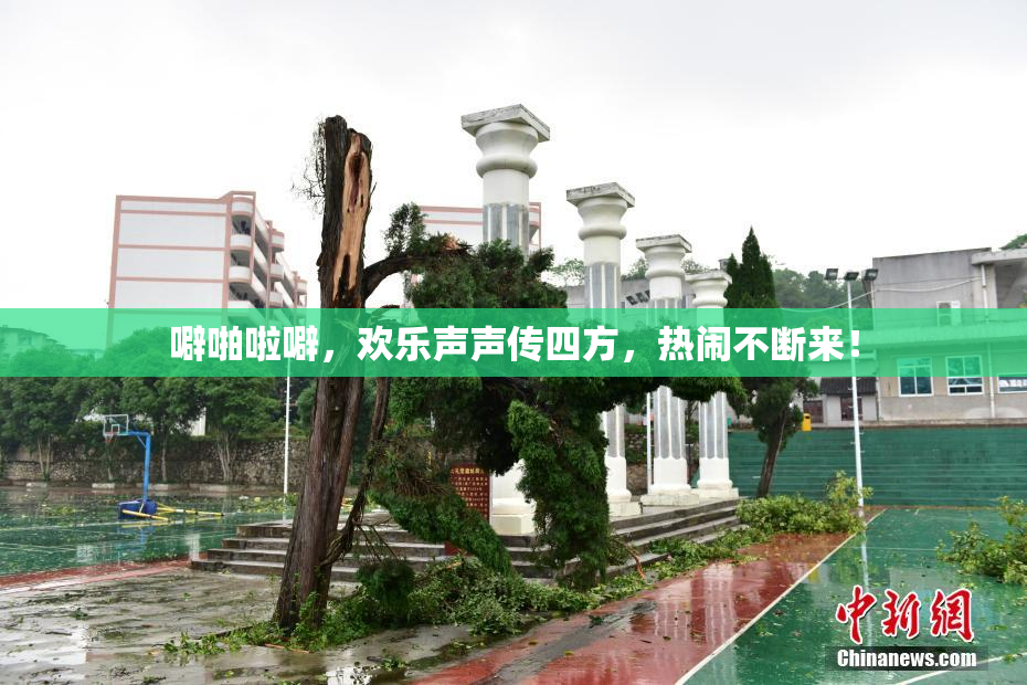 噼啪啦噼，欢乐声声传四方，热闹不断来！