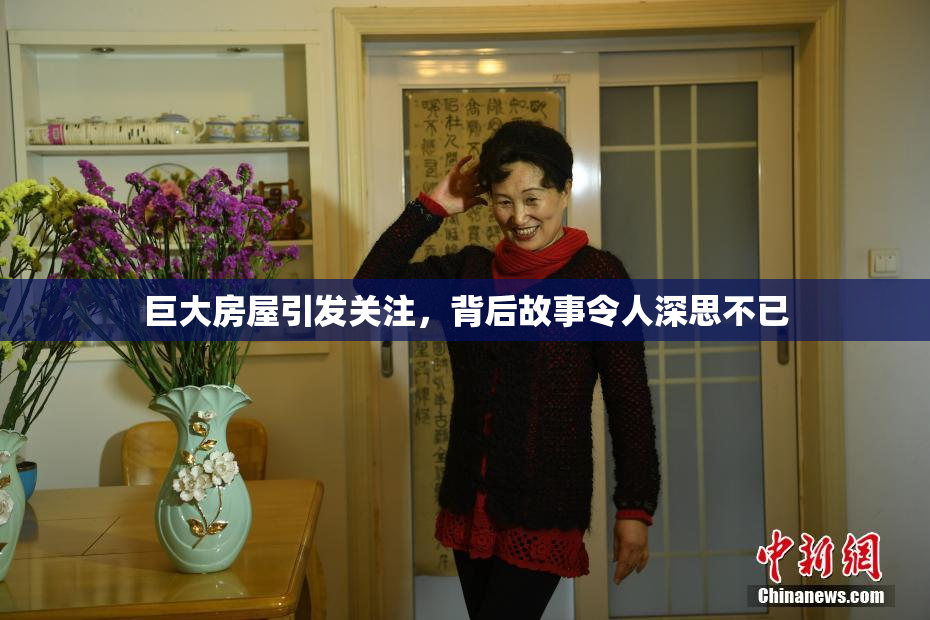 巨大房屋引发关注，背后故事令人深思不已
