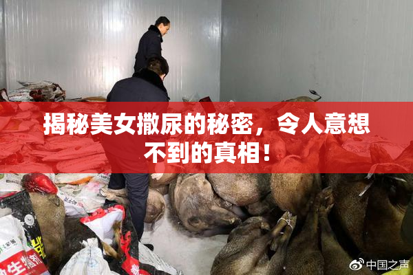 揭秘美女撒尿的秘密，令人意想不到的真相！