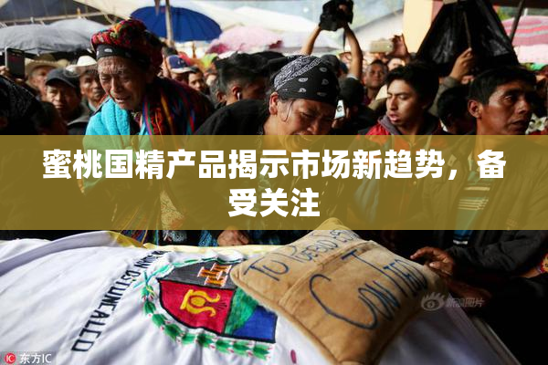 蜜桃国精产品揭示市场新趋势，备受关注