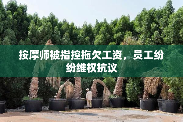 按摩师被指控拖欠工资，员工纷纷维权抗议