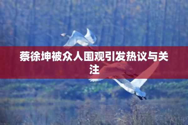 蔡徐坤被众人围观引发热议与关注