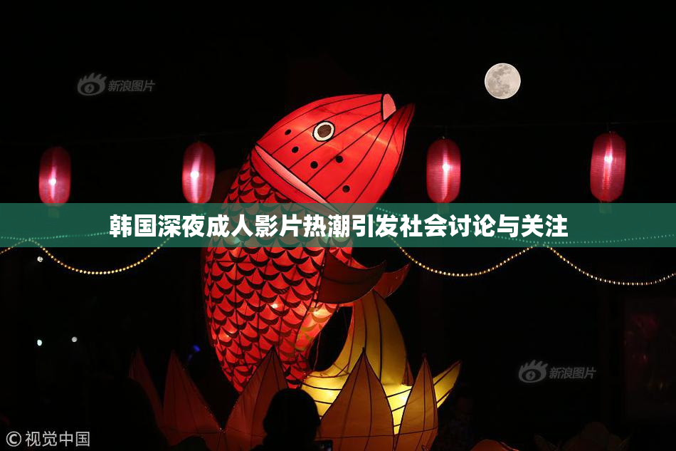 韩国深夜成人影片热潮引发社会讨论与关注