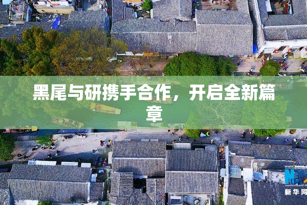 黑尾与研携手合作，开启全新篇章