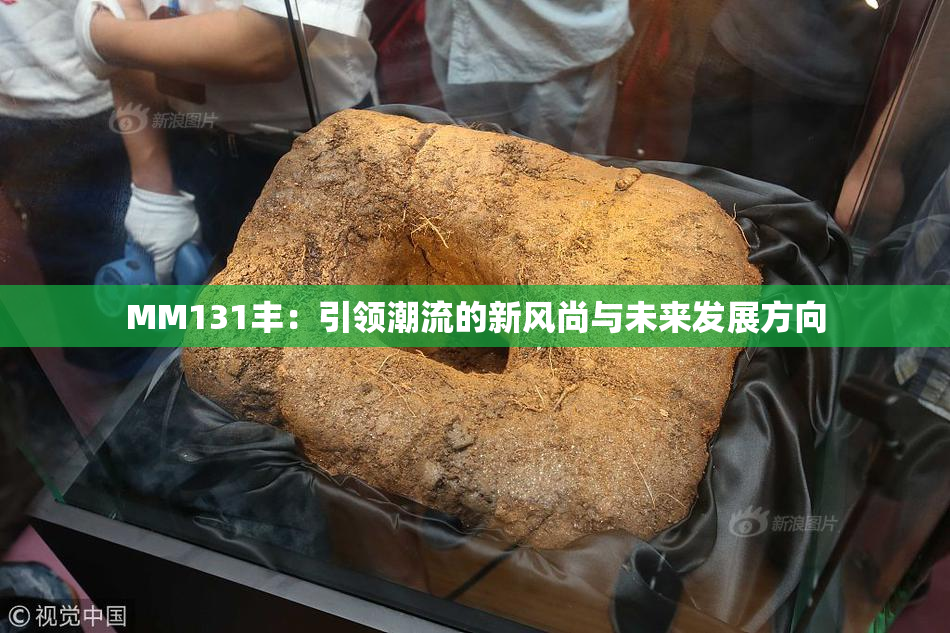 MM131丰：引领潮流的新风尚与未来发展方向