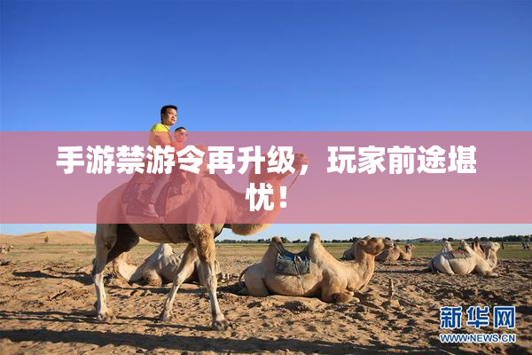 手游禁游令再升级，玩家前途堪忧！