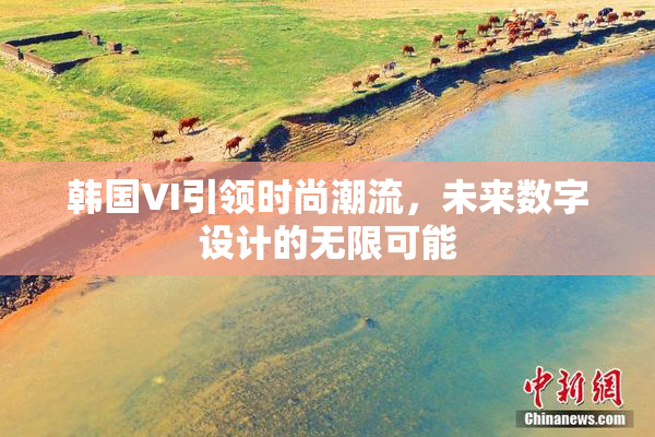 韩国VI引领时尚潮流，未来数字设计的无限可能