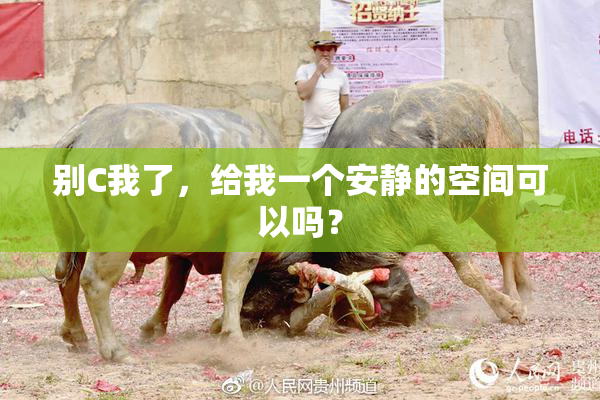 别C我了，给我一个安静的空间可以吗？