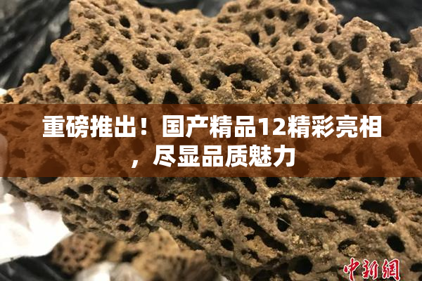 重磅推出！国产精品12精彩亮相，尽显品质魅力