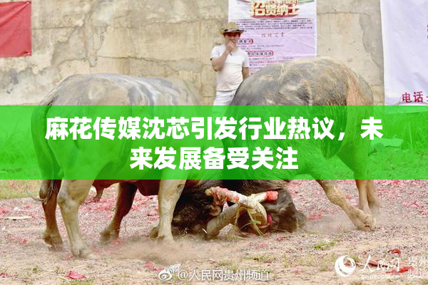 麻花传媒沈芯引发行业热议，未来发展备受关注